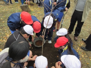 学校運営協議会・桜の植樹