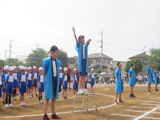 白組