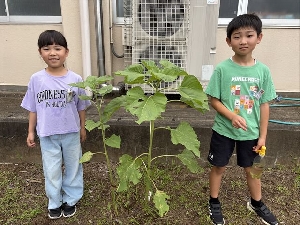 3年生　6月29日～7月10日