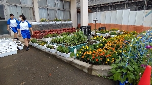 今日のひとこま