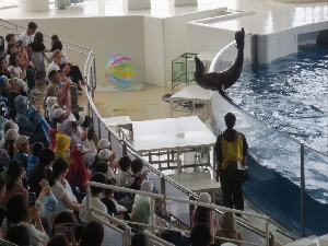 4年生～大洗水族館