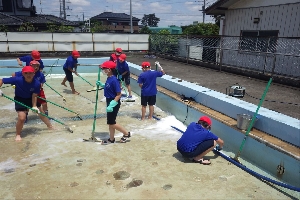 プール清掃