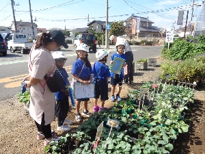 ２年生まち探検