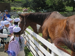 １年生遠足（こもれび森のイバライド）