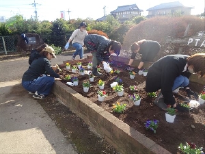 PTA環境委員会　花壇の花植え