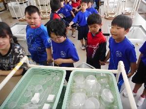 学校たんけん