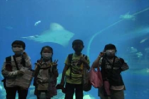 アクアワールド茨城県大洗水族館への遠足（４年生）