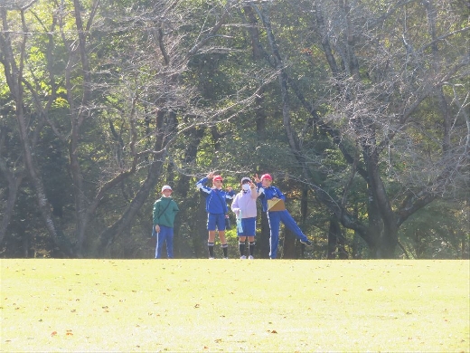 元気に活動中