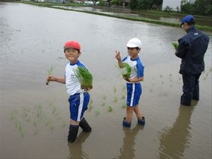 田植え体験（５年生）
