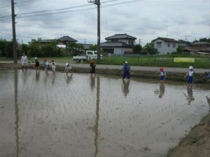 さまざまな体験を通して、学びを広げています