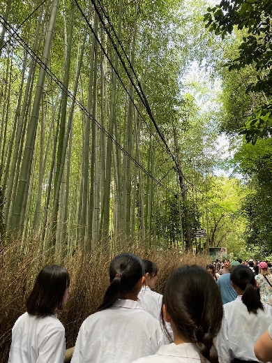 今度は竹林の中。素敵な空間です。