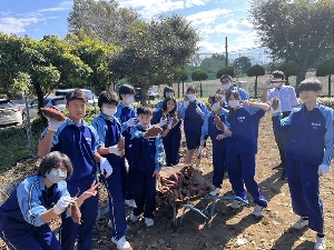 さつまいもがたくさん収穫されました