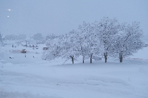 スキー・スノーボード宿泊学習⑰　朝の風景＆朝食