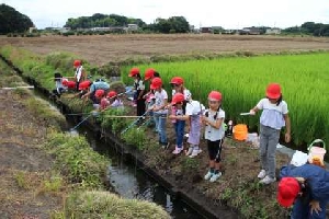 ２年生　ザリガニ釣り