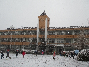 雪が降ったよ‼