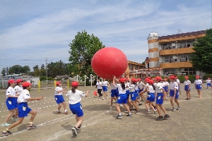 最後の運動会練習