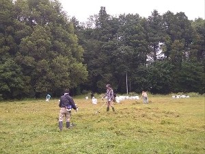 運動会前奉仕作業