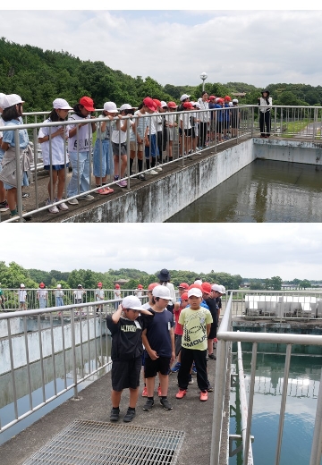 水がどんどんきれいに！