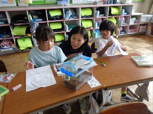 発見と成長の一日　幼稚園の先生と一緒に生き物観察