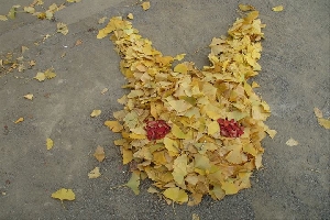 落ち葉掃きアート