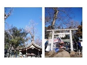 新年あけましておめでとうございます