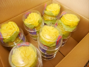 社会福祉協議会へ　５年生からのプレゼント