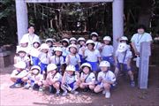 まちたんけん（2年生）