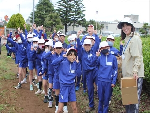 さしま茶ふれあい学習（４年）