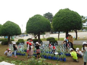 ６月２３日（木）生活（１年生）・算数（３年生）