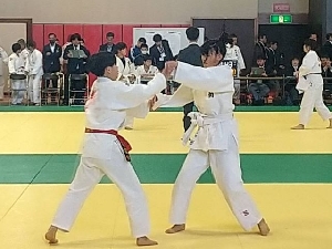 県大会（柔道、ハンドボール）