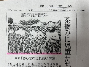 5／11　「茶つみ」が新聞に掲載されました