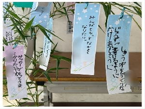 7/7    　七夕飾り