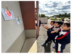 10/28   　３年理科「太陽の光」