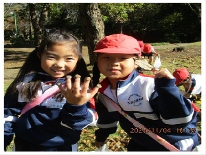 11/4②　　1年生活科「秋を見つけたよ」