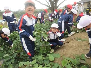 １０/２２　１・２・３年生　さつまいも収穫