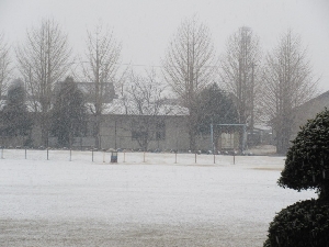 2/5　雪が降ってきました