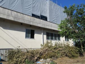 【体育館改修工事】新しく生まれ変わる体育館に向けて～着々と工事が進んでいます～