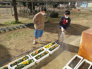 春を待つ植物のお世話