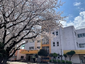 0409_朝の様子