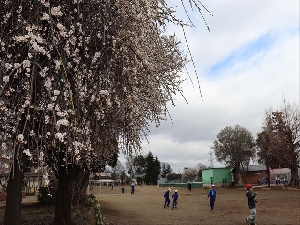 0226_ロング昼休みの様子です