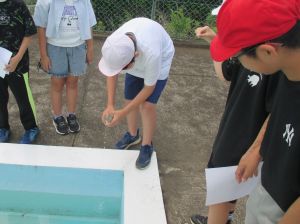 水泳学習の安全を願って ～プール開きを行いました～