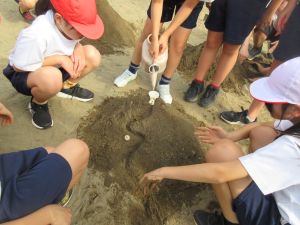 【５年生】予想外の結果にびっくり！～砂場で挑んだ『流れる水』の大実験～