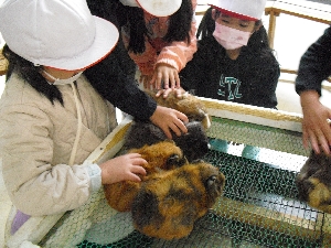 １・２年遠足　こもれび森のイバライド