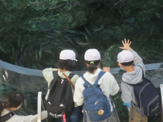 水族館見学