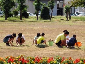 朝の除草作業