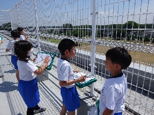 ３年生社会　屋上から見た地域