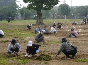 PTA奉仕作業　安全な環境で運動会・水泳学習へ