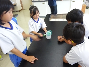 今日の3時間目の様子　生活科・理科の学習
