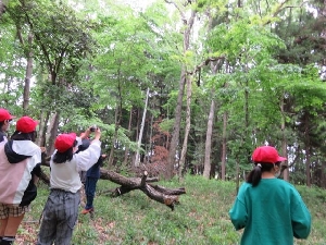 6年生総合　里山での学び