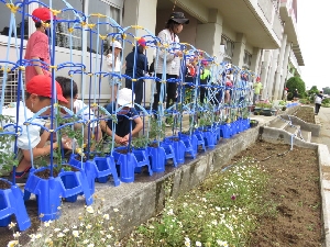 ２年生　生活科　ミニトマト植え